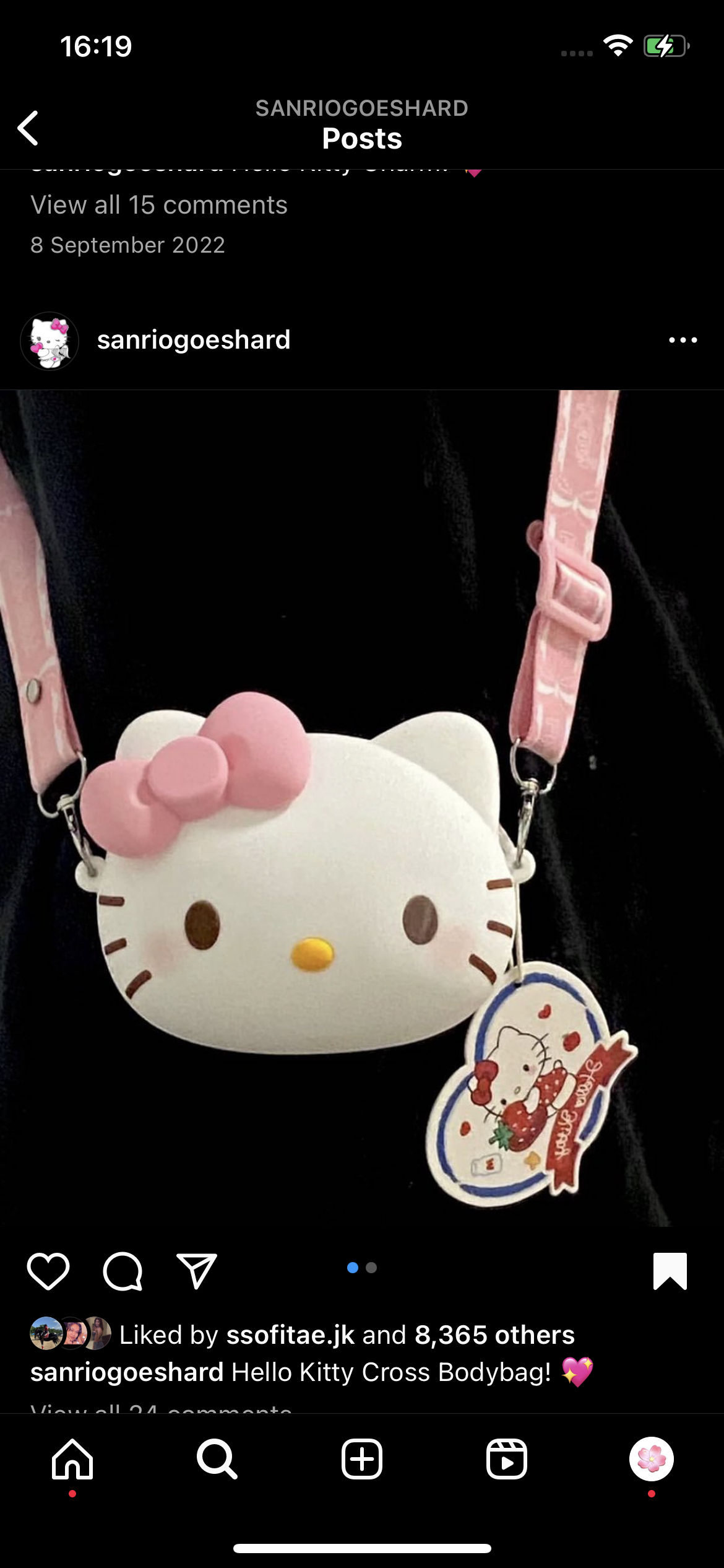 Kawaii Character Silicone Crossbody Bag - Bouquet Blossoms Shop