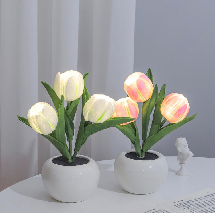 Tulip Colourful LED Pot Night Lamps - Bouquet Blossoms Shop