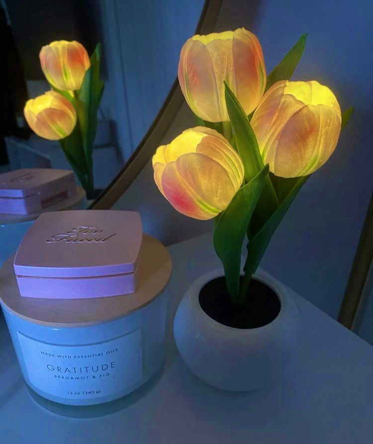 Tulip Colourful LED Pot Night Lamps - Bouquet Blossoms Shop