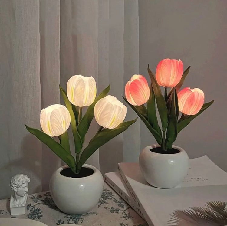 Tulip Colourful LED Pot Night Lamps - Bouquet Blossoms Shop